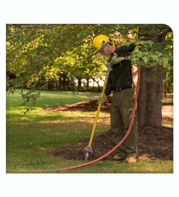 Certified Arborist give treatments to help plant growth