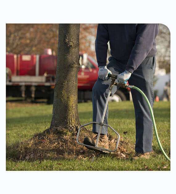 Tree and Shrub Fertilization Services