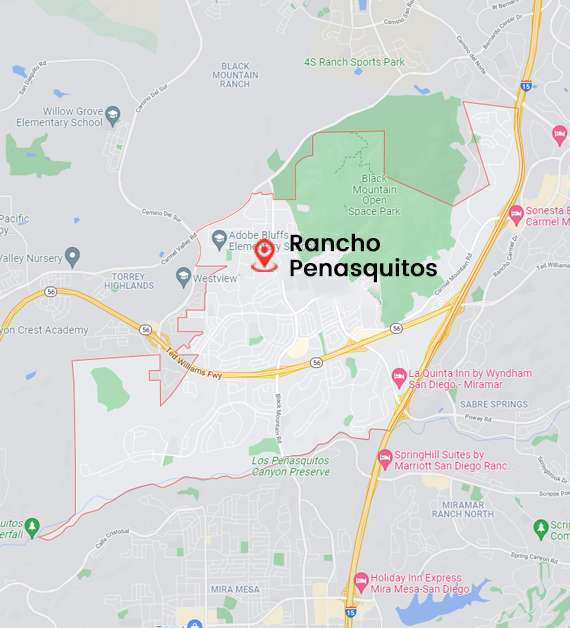 Tree Doctor provides Tree Healthcare service in Rancho Penasquitos