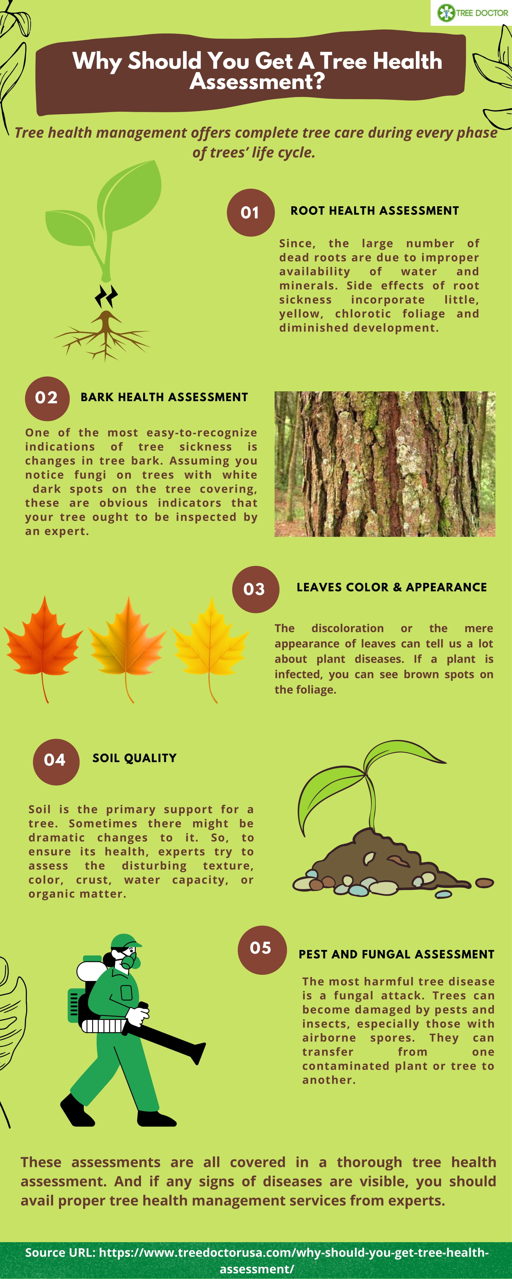 Tree Health Assessment Tips
