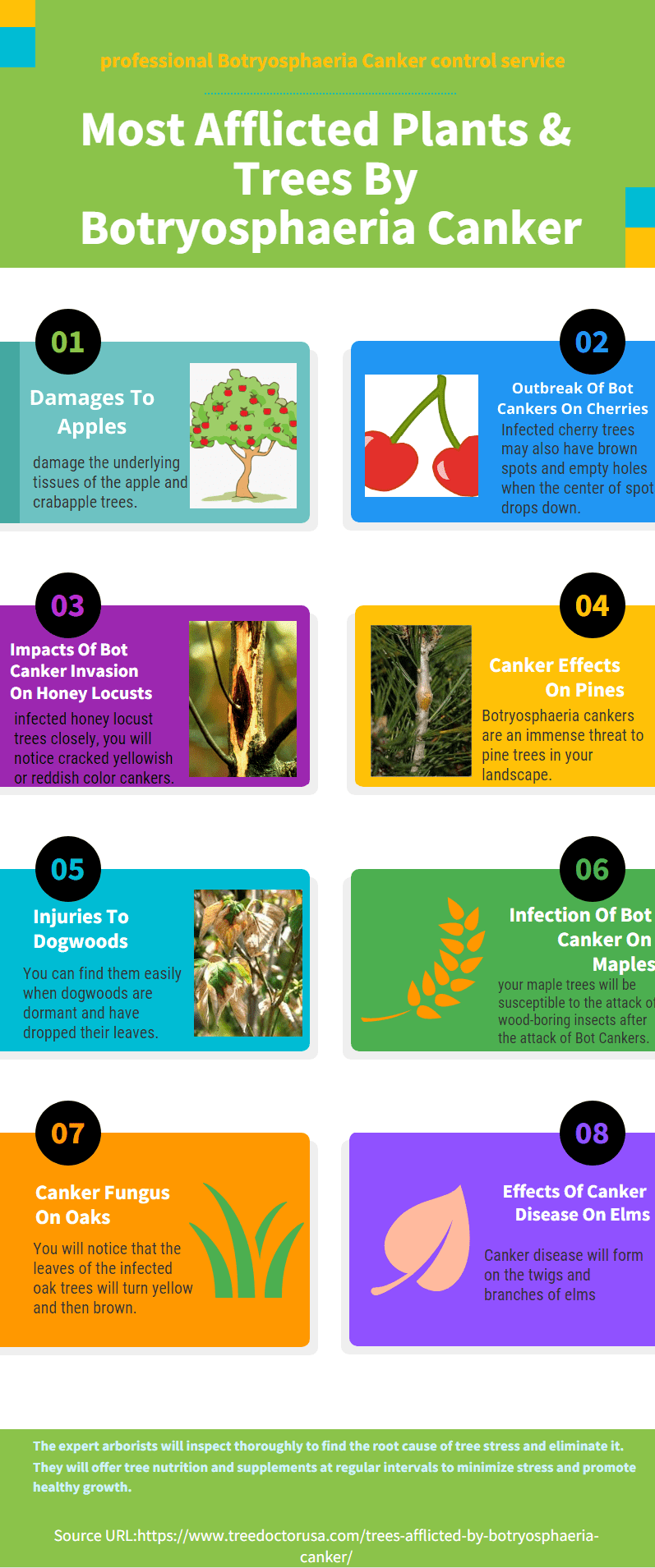8 Most Afflicted Plants & Trees
