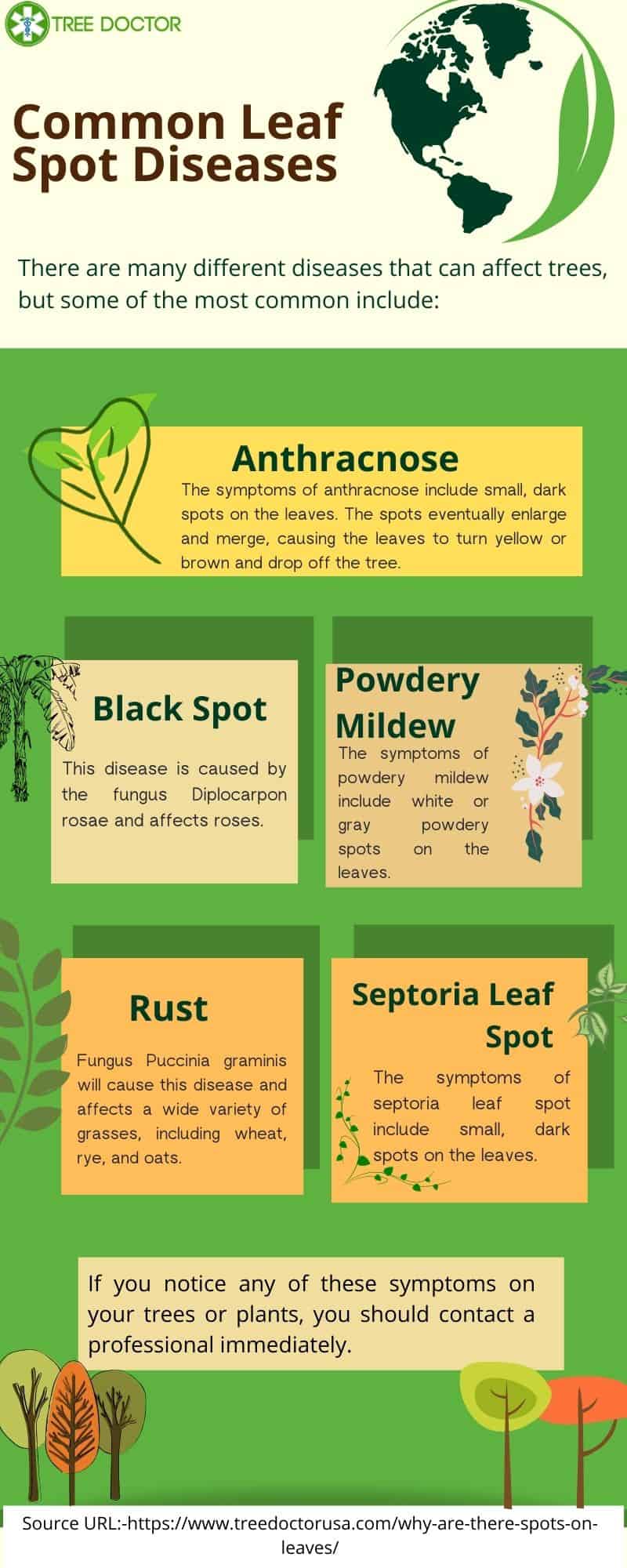 Common Leaf Spot Diseases