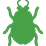 Granulate Ambrosia Beetle
