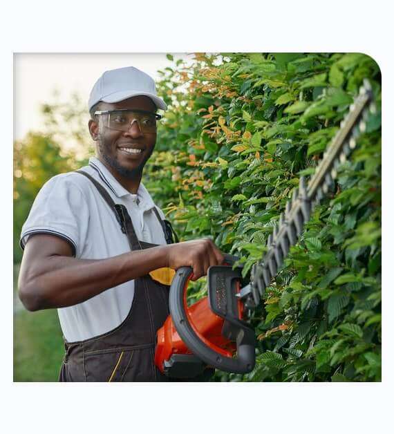 Tree Service in Anaheim