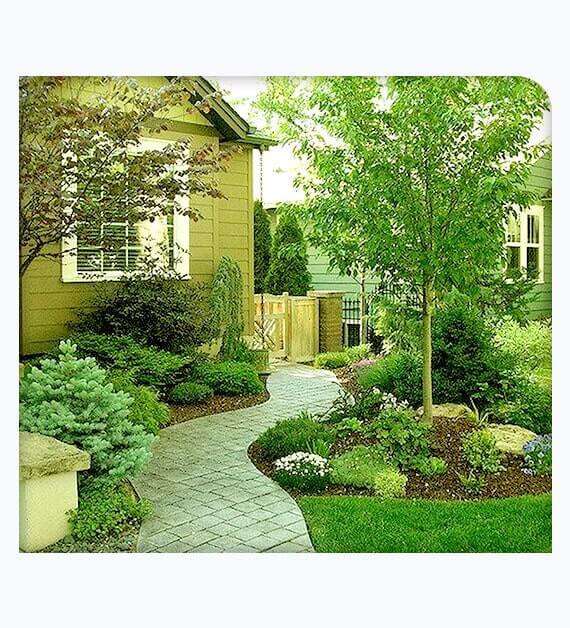 Superior Tree Services in Spring Valley Tree Doctor USA