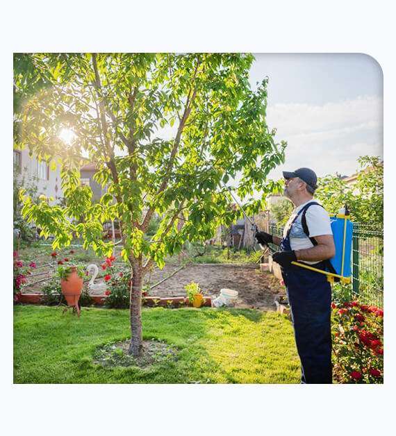 tree care in orange county