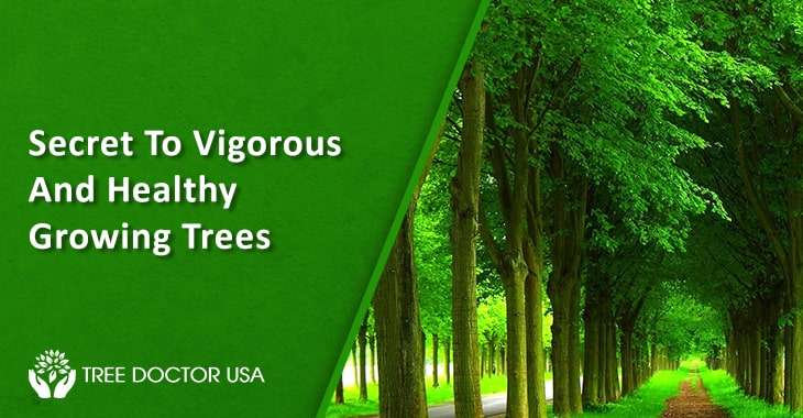 Nutrients for Tree Growth