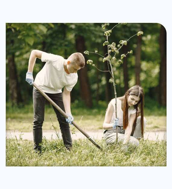 Tree & Plant Healthcare Services LaMesa Tree Doctor