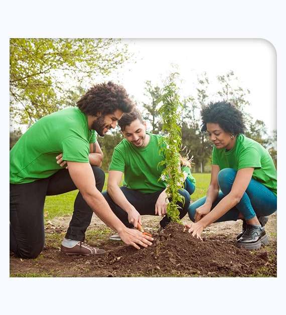 Tree Planting In San Diego