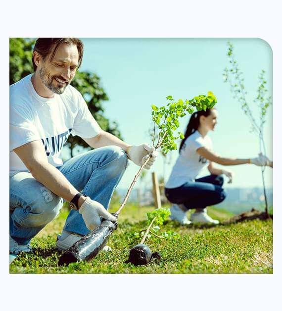 tree & plant care services in Cypress