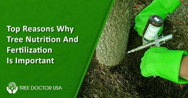 Tree Nutrition And Fertilization