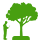 Arboriculture Consultation
