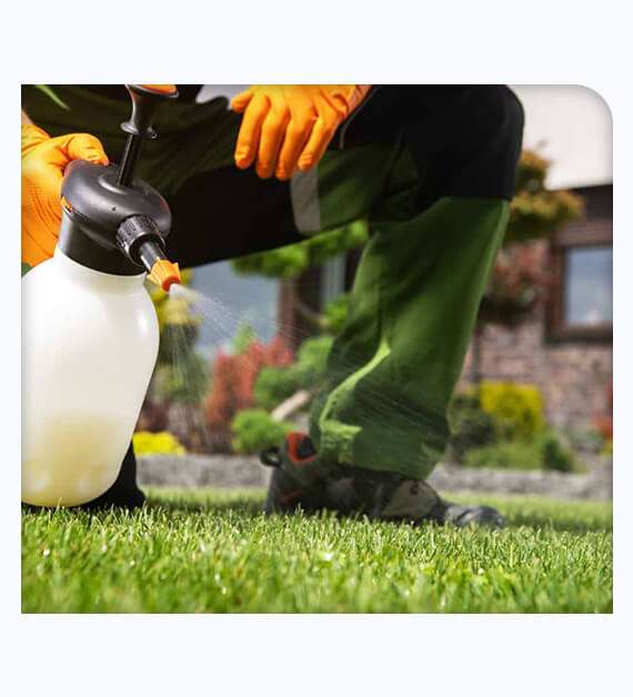 Ramona Pest Control Services