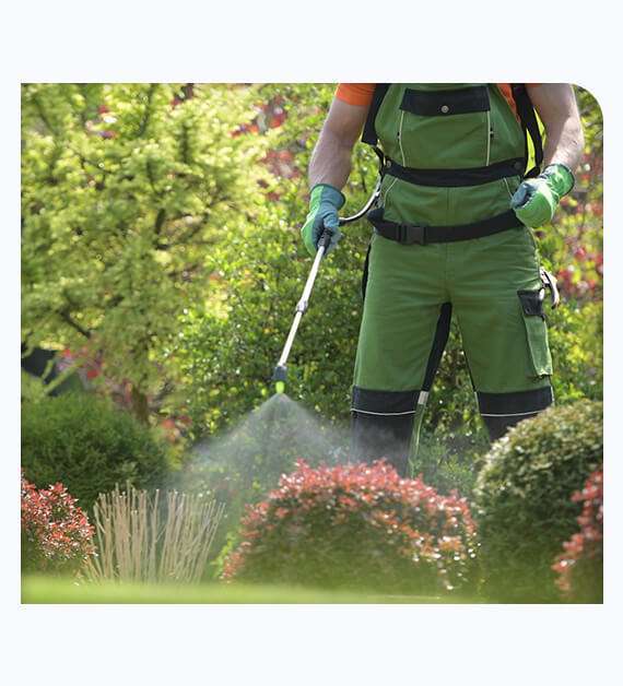 pest control services in Santee