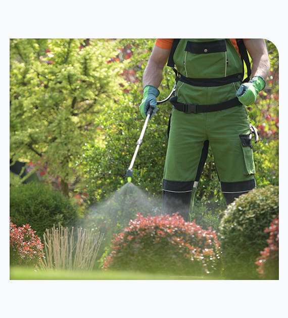 pest control Santee