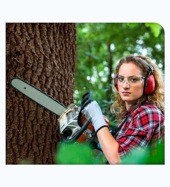 Tree trimming in Chula Vista