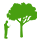 Arboriculture Consultation