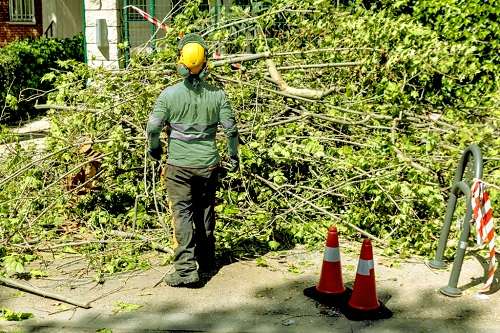 Secure Tree Removal