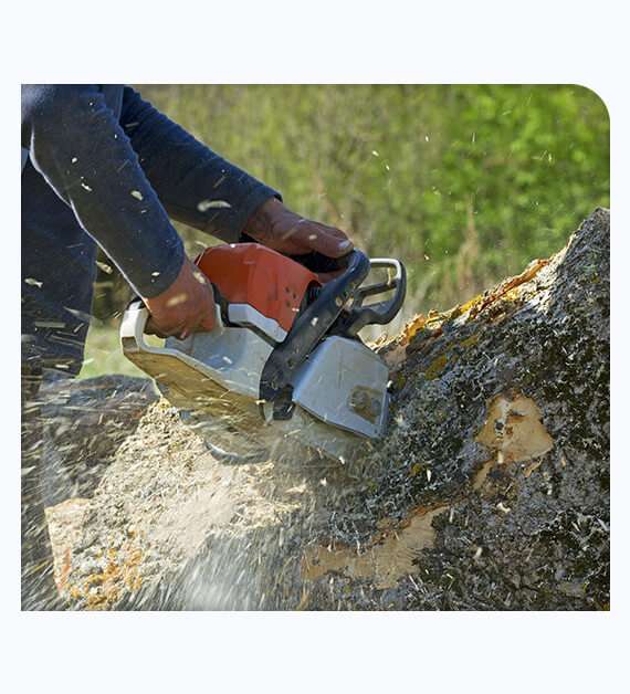 Tree Removal Anaheim