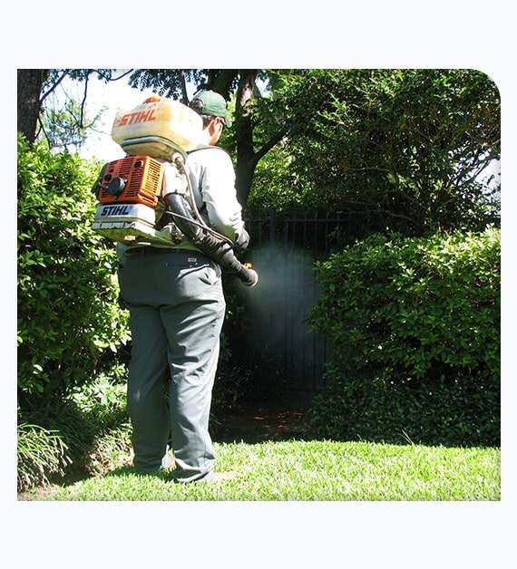 Pest Control Oceanside