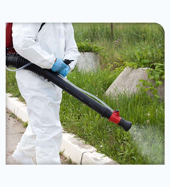 Pest Control Services Bonsall