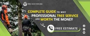 Professional Tree Services