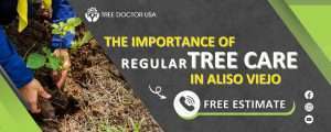 Tree Care Service In California