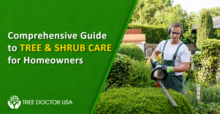 Tree and Shrub Care