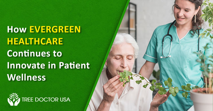 evergreen healthcare san diego