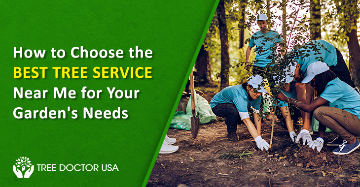 Tree Service Near Me