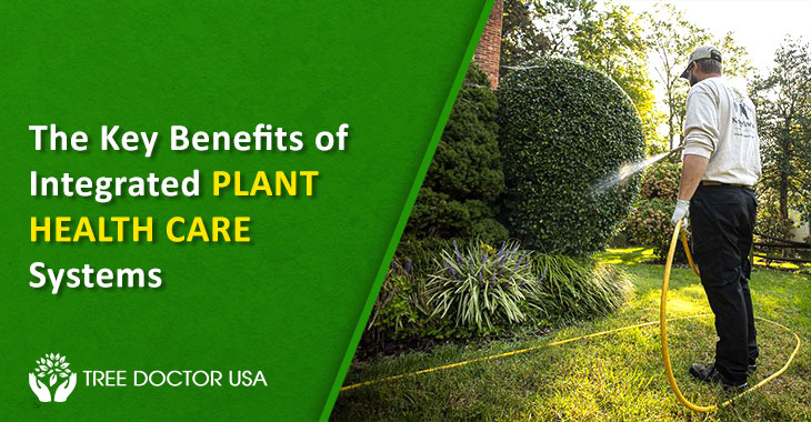 evergreen healthcare