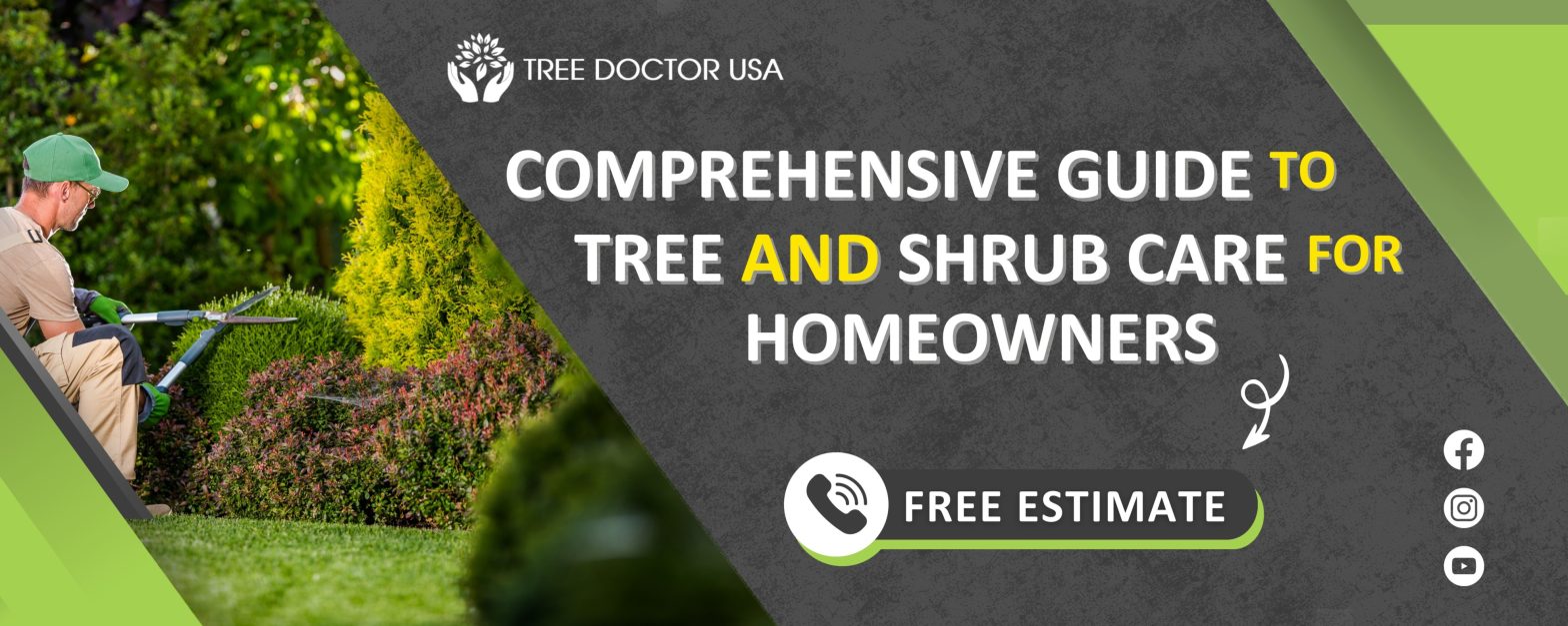 Comprehensive Guide to Tree and Shrub Care for Homeowners