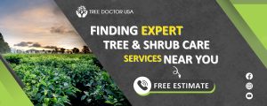 tree and shrub care near me