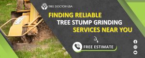 tree stump grinding near me