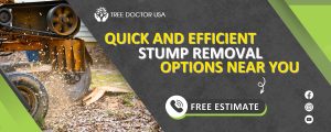 stump removal near me