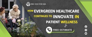 tree healthcare san diego