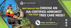 ISA Certified Arborist
