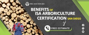 isa arboriculture