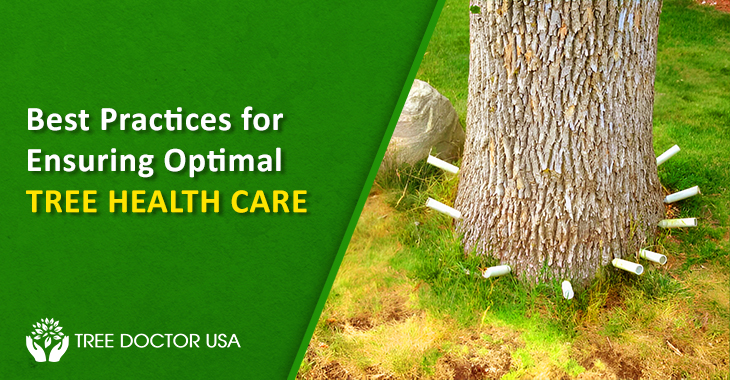 Tree Health Care