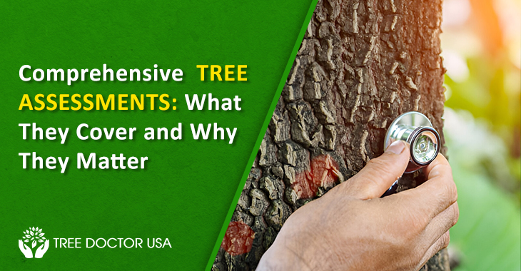 Tree Assessments