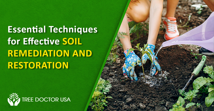 soil remediation