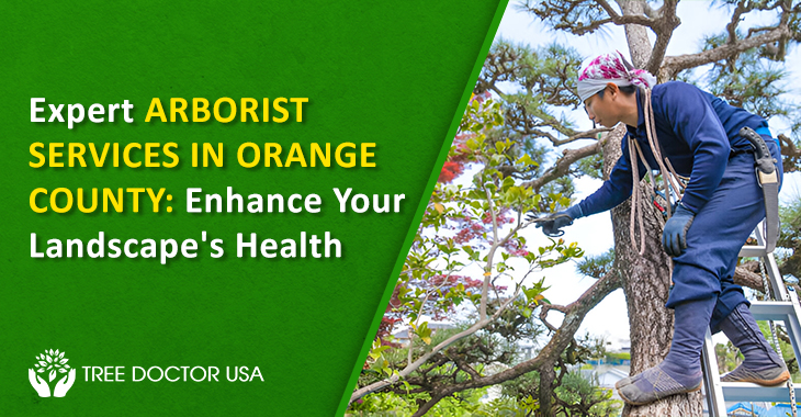 arborist in Orange County