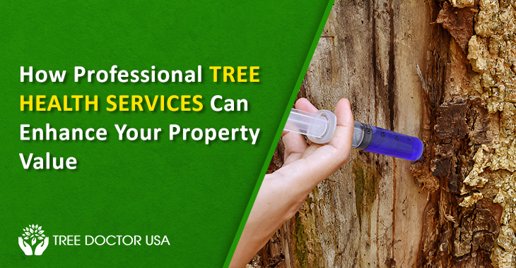 Tree Health Services