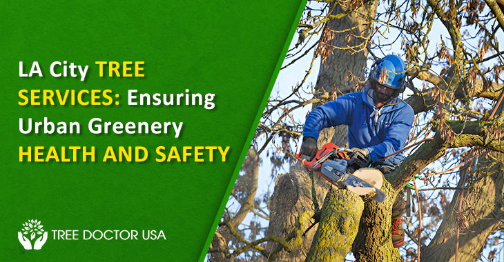 LA City Tree Services
