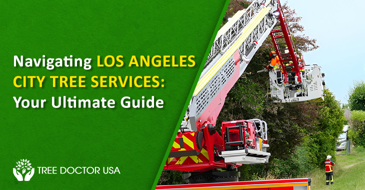 Los Angeles City tree services