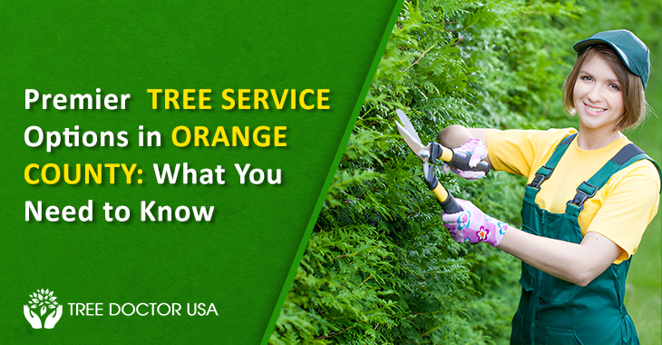 tree services in Orange County