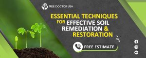 soil remediation