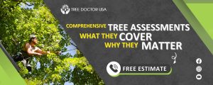 tree assessments