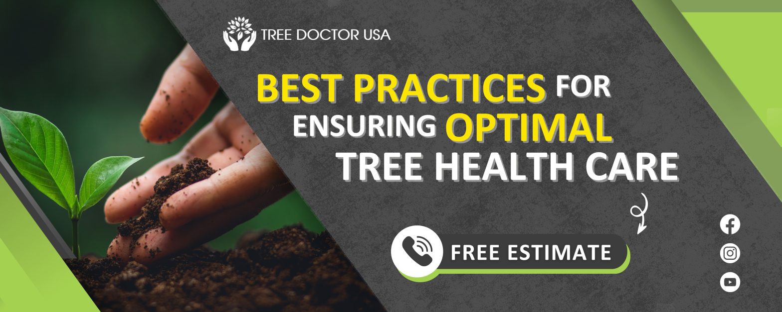 Tree Health Plan Example Best Practices for Ensuring Optimal Tree Health Care