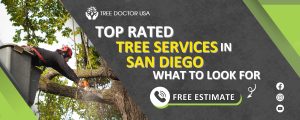 residential tree services